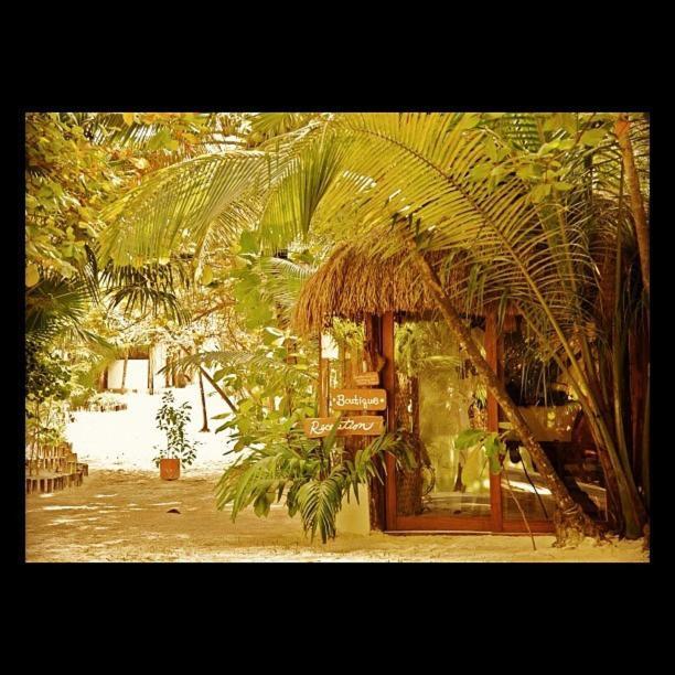Casa Violeta Ξενοδοχείο Τουλούμ Εξωτερικό φωτογραφία